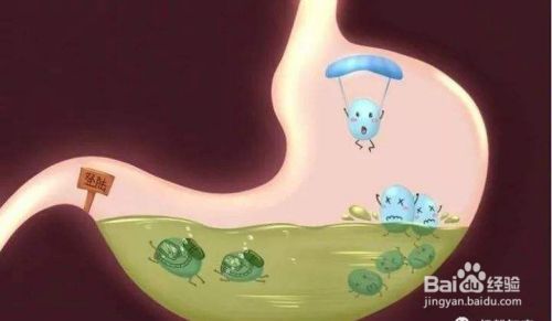 消化不好怎么调理,消化不好吃什么食物好