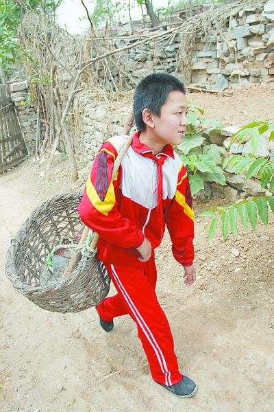 李宝健六色灵芝李保健