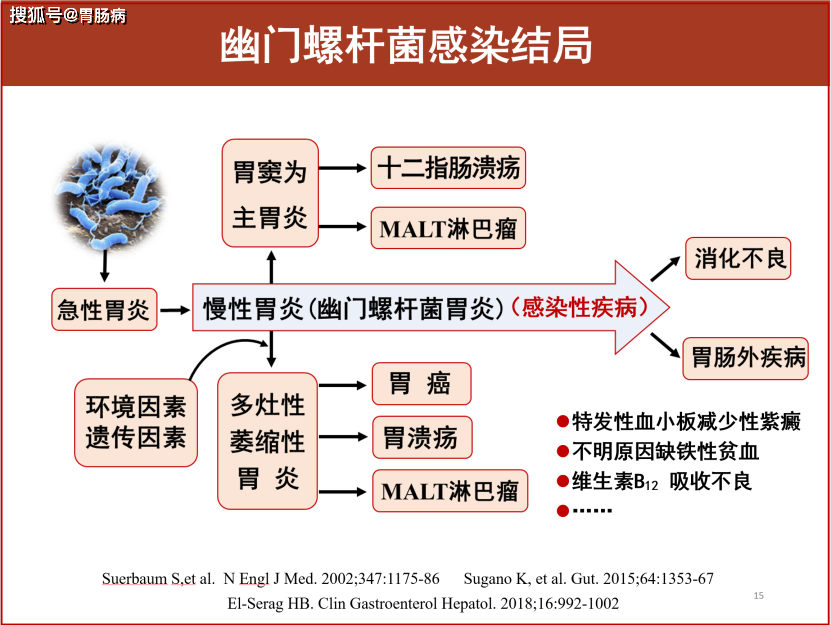 幽门螺杆菌阳性可以根治吗,幽门螺杆菌阳性一个+是什么意思