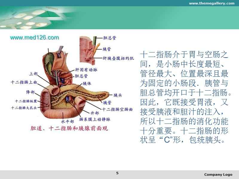 十二指肠球部肿瘤图片十二指肠息肉