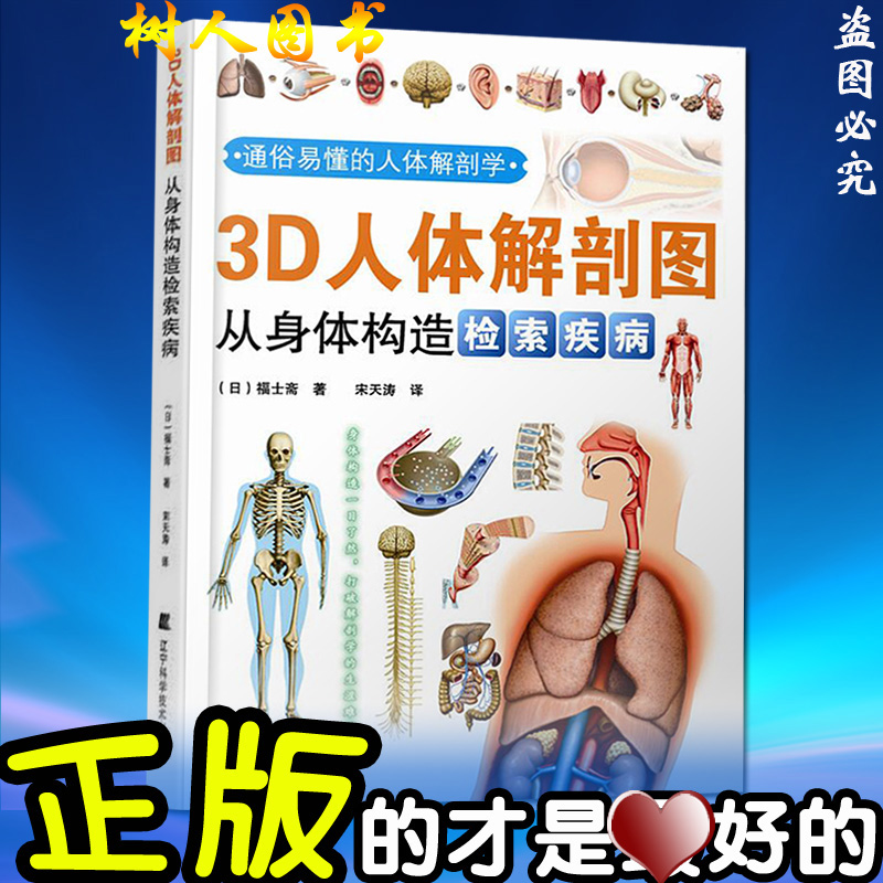 身体各部位疼痛对照图,身体构造