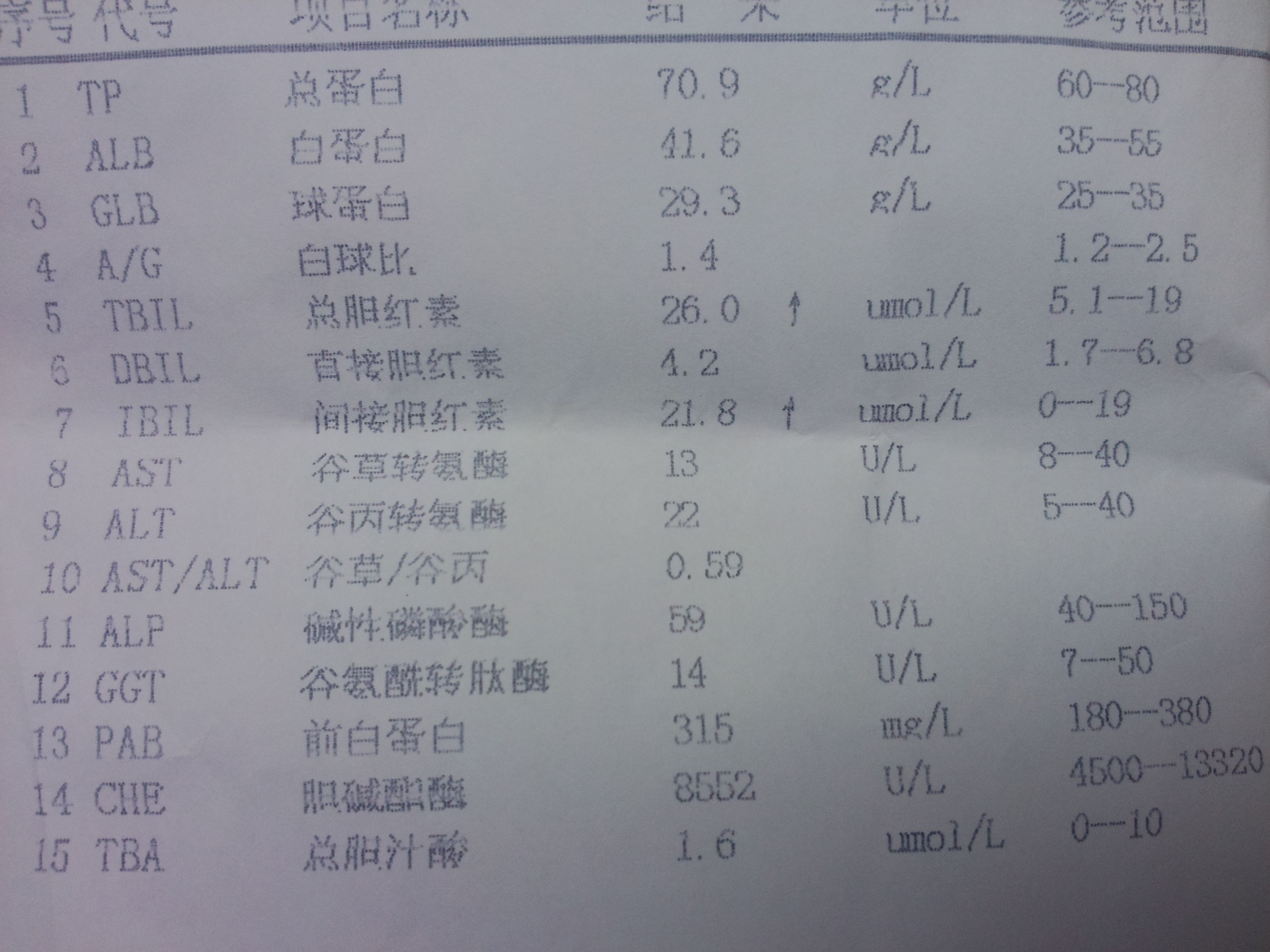 胆红素偏高胆红素的克星