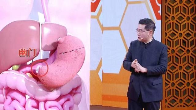腹腔神经丛 腹腔神经丛