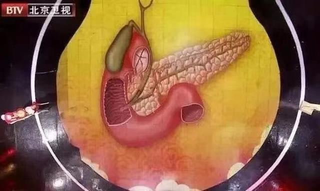 腹腔神经丛 腹腔神经丛