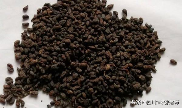 什么中药可以减肥 什么中药可以减肥