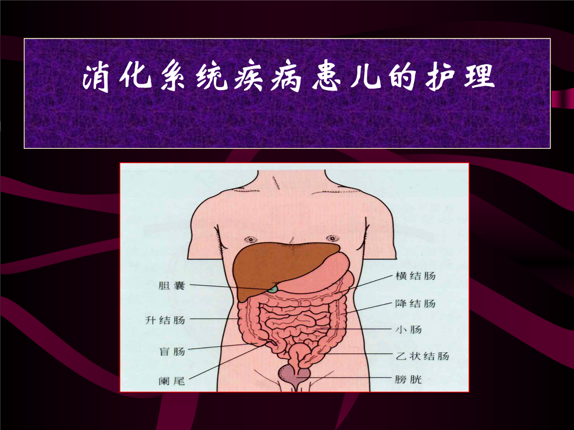 消化系统疾病消化系统结构简图