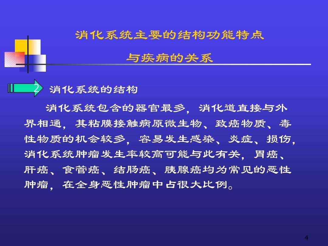 消化系统疾病消化系统结构简图