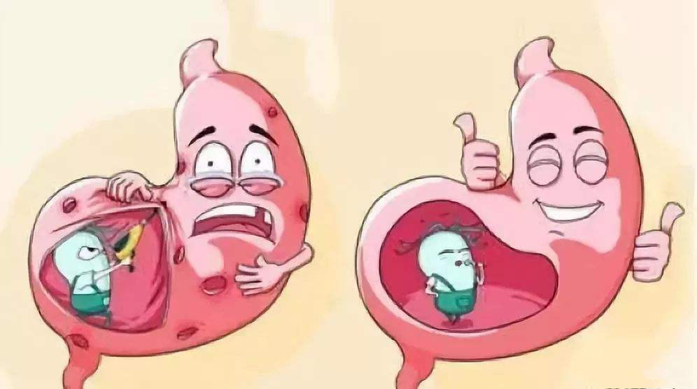胃肠功能紊乱胃肠功能紊乱中医调理