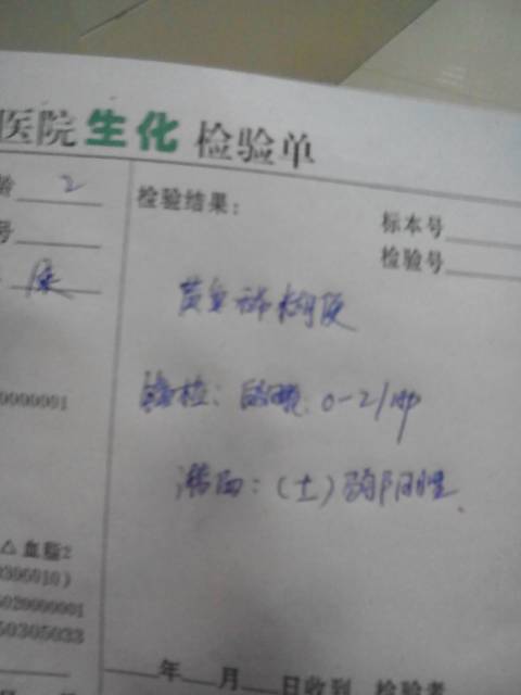 隐血弱阳性男性尿常规隐血弱阳性
