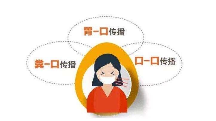 关于幽门螺旋杆菌如何传染给别人的信息
