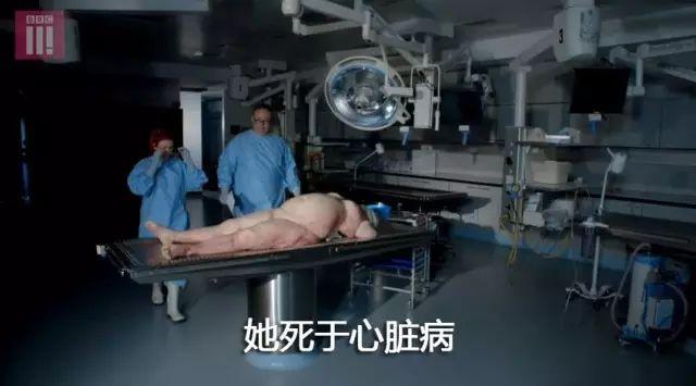 内脏 内脏