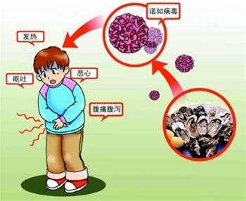 上吐下泻怎么回事上吐下泻是什么病情