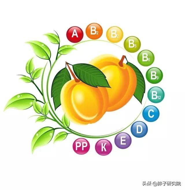 双歧杆菌 双歧杆菌