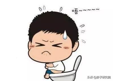 双歧杆菌 双歧杆菌