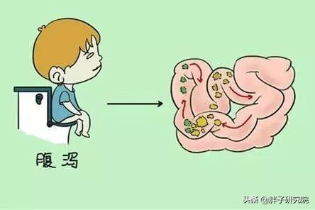 双歧杆菌 双歧杆菌