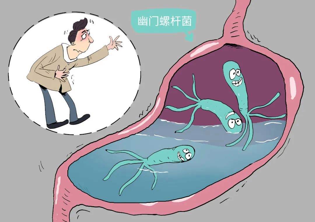 接吻100%会传染幽门螺旋杆菌吗幽门螺旋杆菌多少为正常值