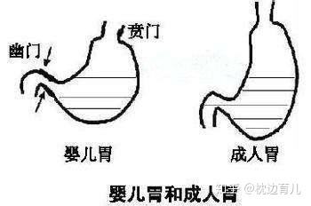贲门松弛一定要手术吗,贲门松弛