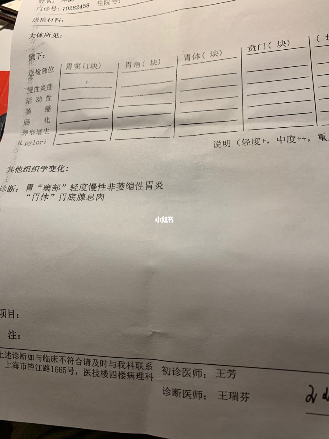 胃镜检查费用现在医院做个胃镜多少钱