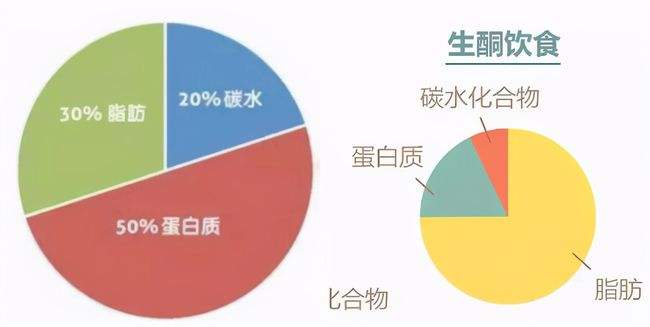 蛋白质减肥法食谱蛋白质减肥