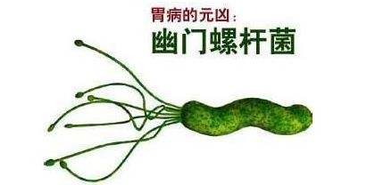中医不建议杀幽门螺杆菌幽门螺杆菌怎么形成的