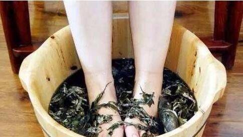 艾叶减肥艾叶煎鸡蛋