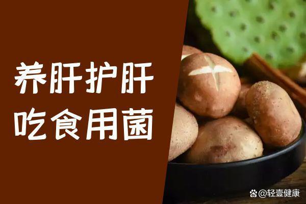 如何养肝护肝怎样养肝护肝牢记7大方法