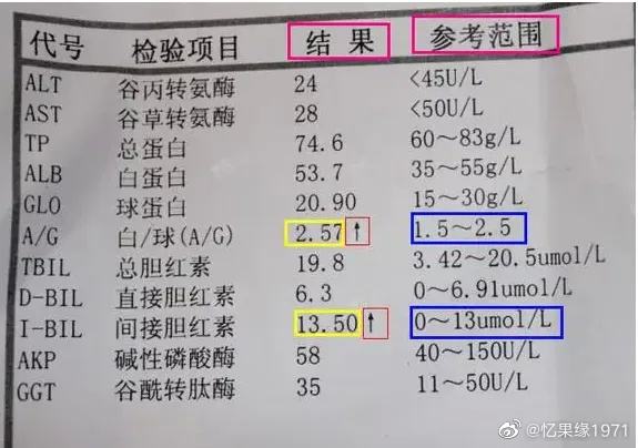 女性碱性磷酸酶偏低34,血清碱性磷酸酶偏低
