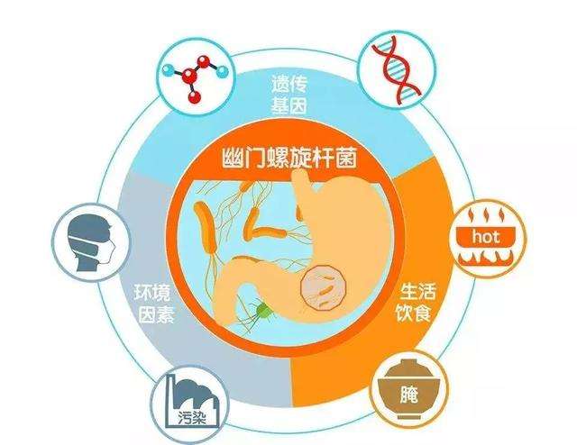 关于有幽门螺旋杆菌的人有什么症状的信息