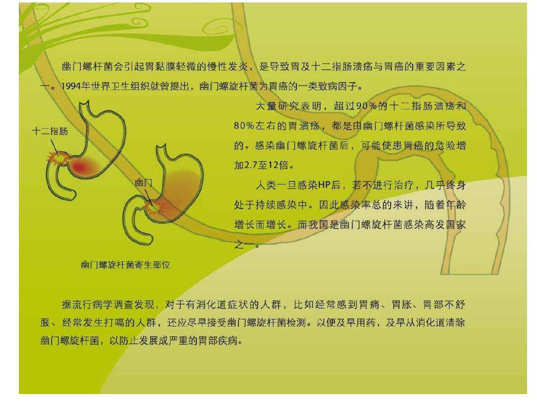 胃幽门螺杆菌感染是什么意思幽门螺旋杆菌感染是什么意思