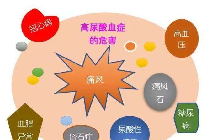 尿酸偏高注意什么饮食禁忌,尿酸偏高
