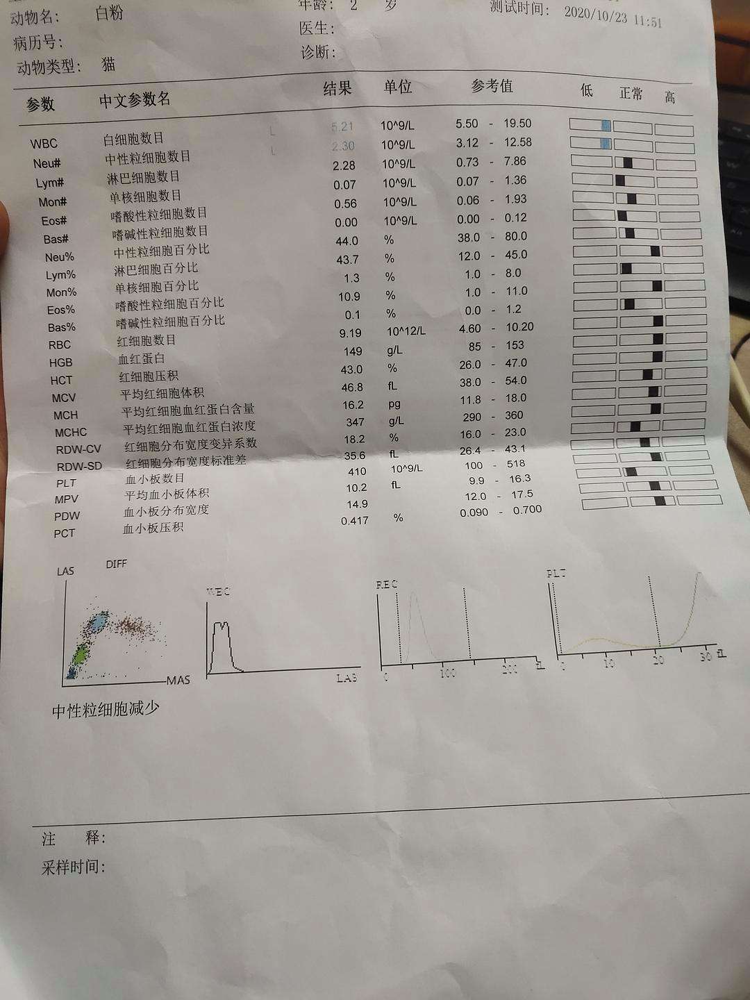 中性粒细胞偏低中性粒细胞偏低有什么危害