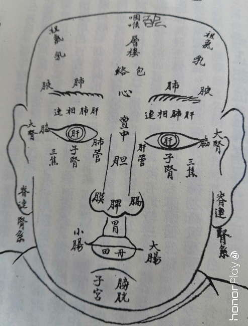 倪海厦谎话说了50年中医张孟超倪海厦