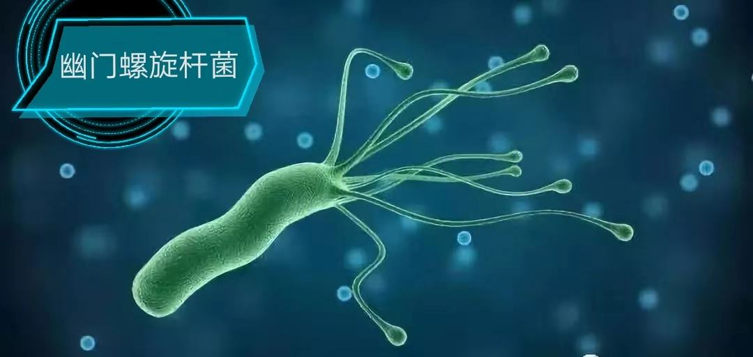 幽门螺旋杆菌是怎样传染的,幽门螺杆菌是怎样传染的