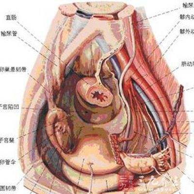 盆腔炎有2个明显症状附件炎吃什么药,盆腔炎有2个明显症状