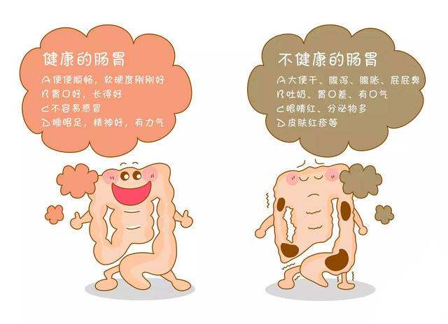 胃肠道功能紊乱胃肠道功能紊乱多久能好