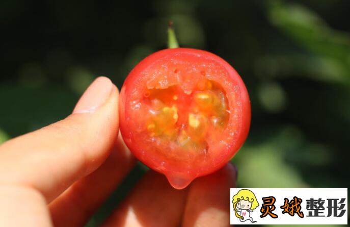 番茄减肥吗,番茄减肥不