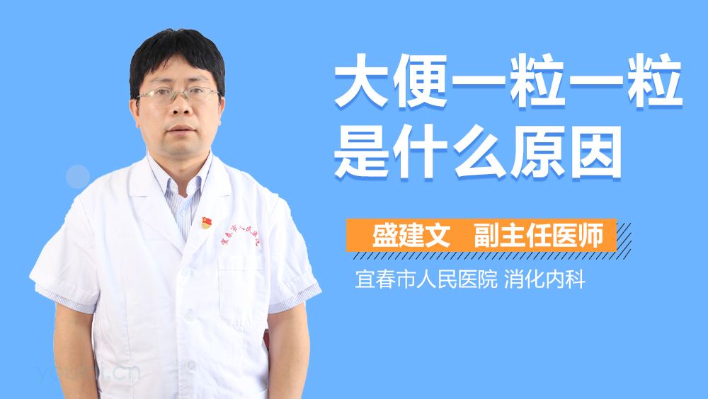大便干燥一粒一粒的是什么原因,大便干燥一粒一粒的是什么原因吃什么药