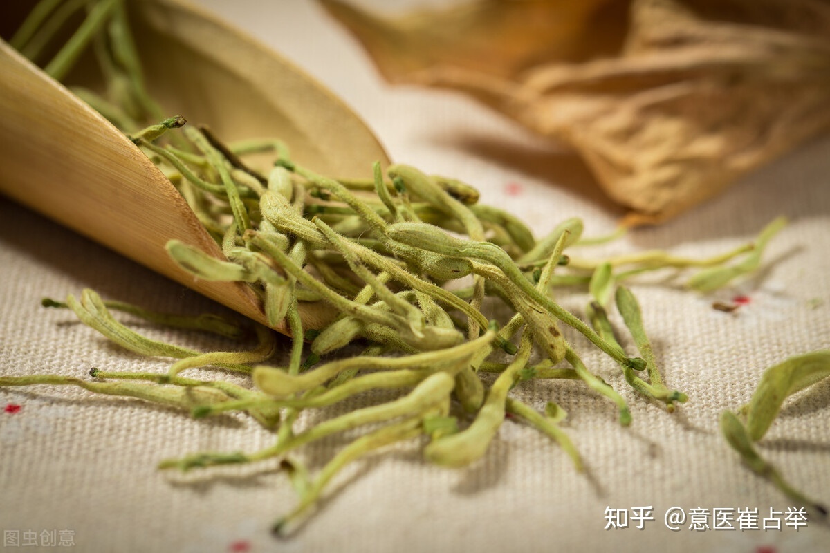 中医大师倪海厦六个经典方子,倪海厦53种特效方子