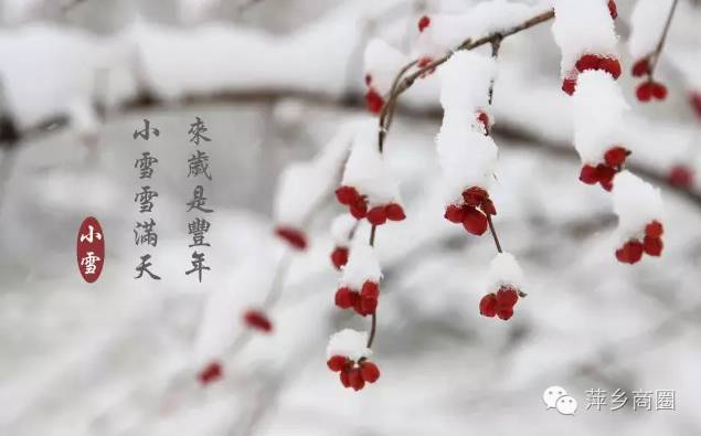 包含小雪养生的词条