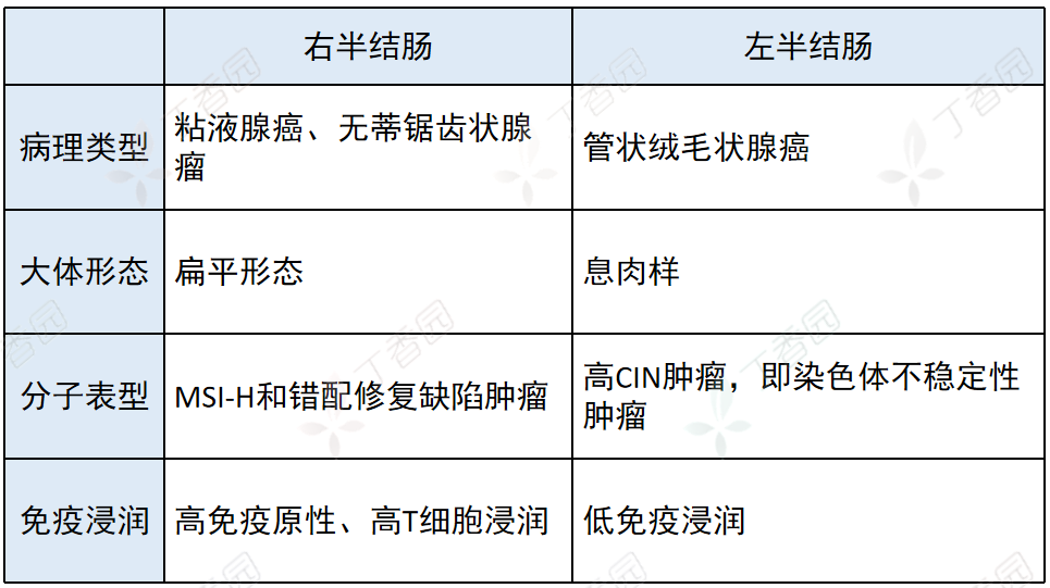 结肠癌原因结肠癌引起原因