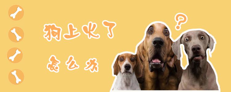 上火了怎么办上火了怎么办如何降火