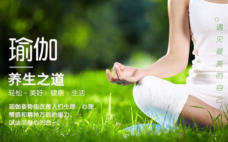 养生瑜伽视频教程下载,养生瑜伽视频