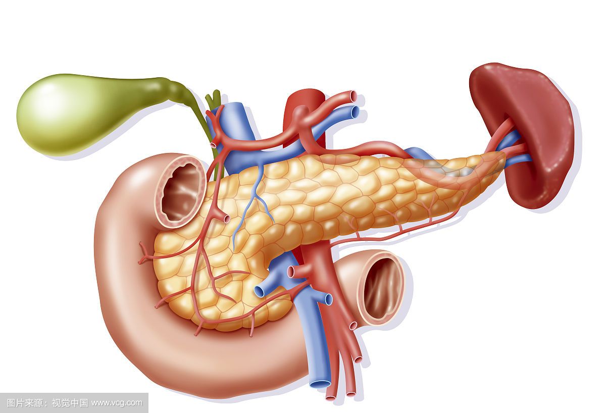 胰腺炎严重吗胰腺炎